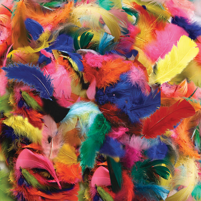 FEATHERS HOT COLORS 14 GRAMS