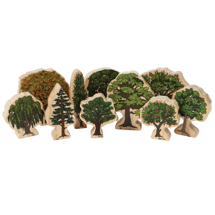 TREES OF ALL SEASONS