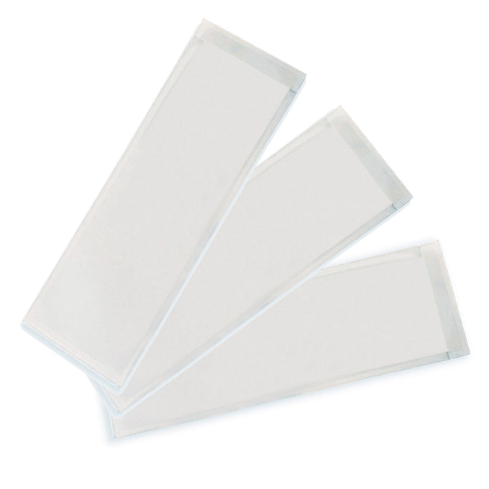 Clear View Self-Adhesive Extra Small Name Plate Pocket 3.25" x 10.5", 25 Per Pack, 2 Packs