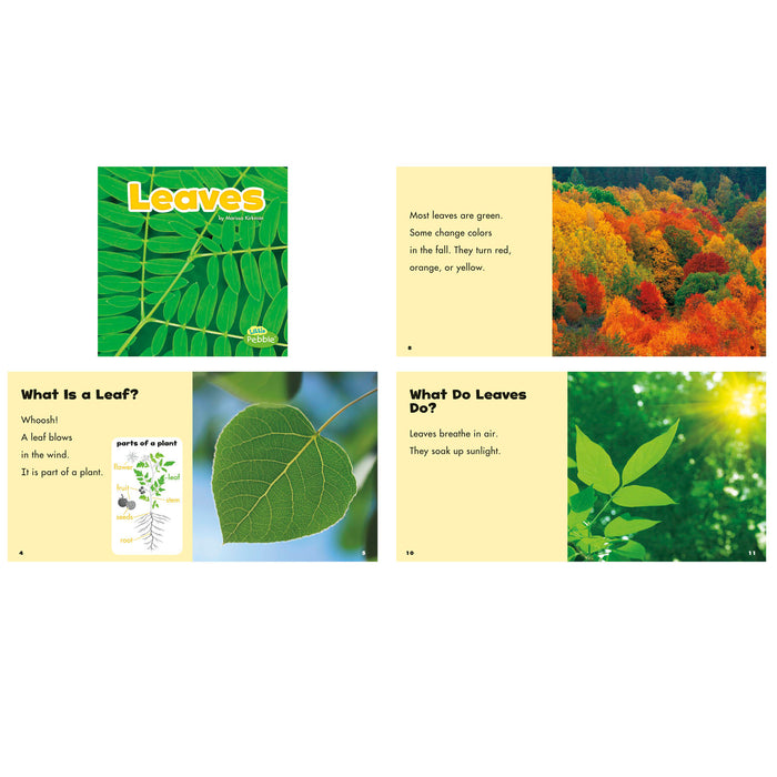 PLANT PARTS SET OF 6 BOOKS