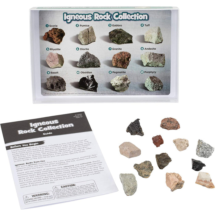 ROCK MINERAL & FOSSILS COMPLETE