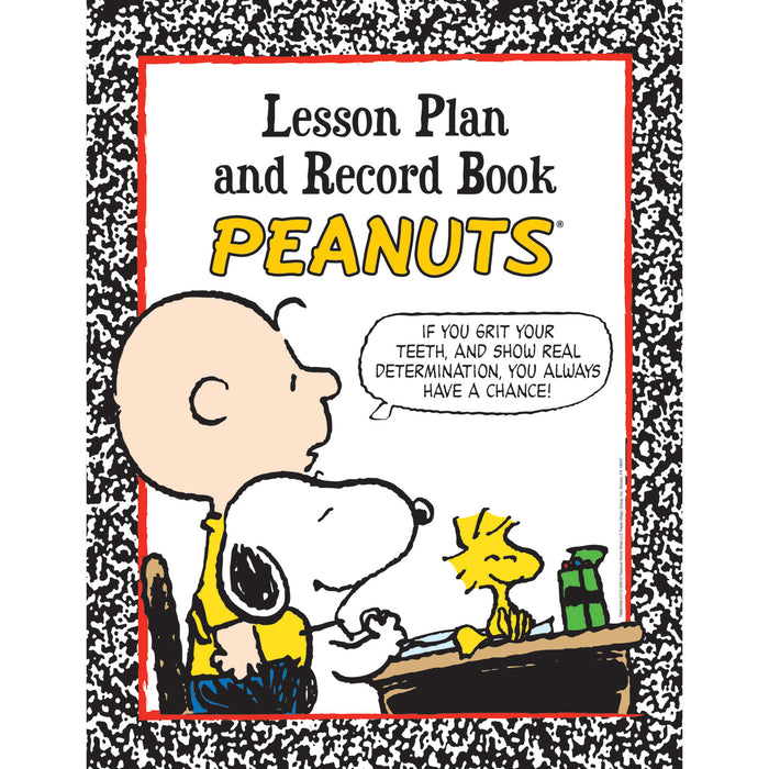 Peanuts® Lesson Plan & Record Book, Pack of 2