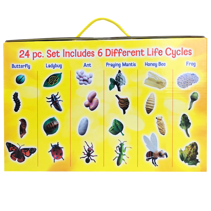 Life Cycle Figurines Set, 24 Pieces