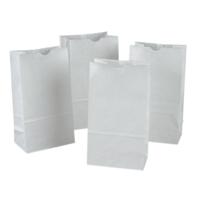 Kraft Bag, White, 6" x 3-5-8" x 11", 50 Per Pack, 2 Packs