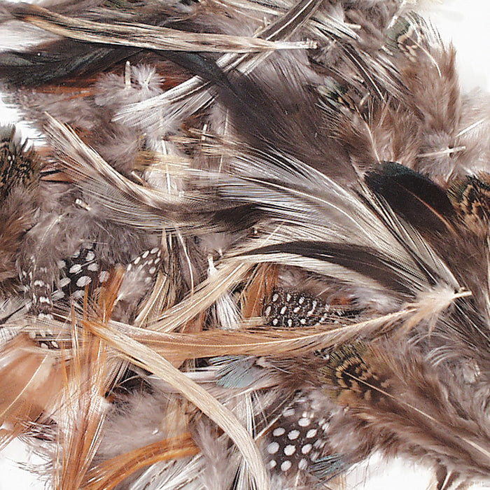(3 PK) NATURAL FEATHERS ASSORTED