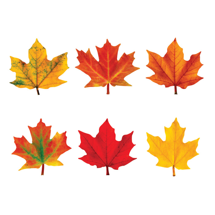 Maple Leaves Mini Accents Variety Pack, 36 Per Pack, 6 Packs