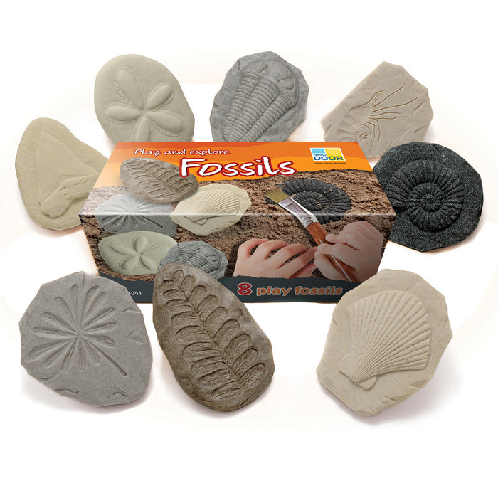 PLAY AND EXPLORE FOSSILS