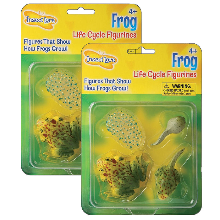 (2 EA) FROG LIFE CYCLE STAGES