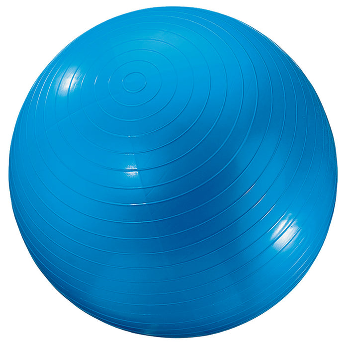 EXERCISE BALL 24IN BLUE