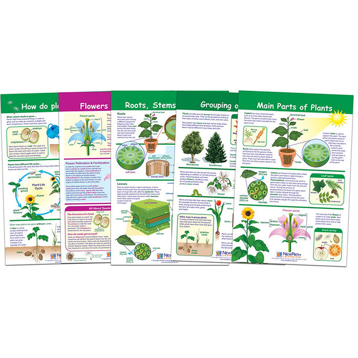 ALL ABOUT PLANTS SET OF 5