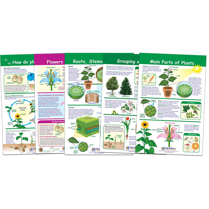 Bulletin Board Sets - Science