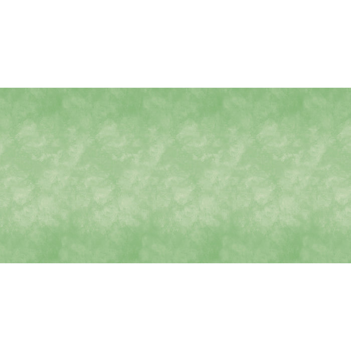 FADELESS DESIGN ROLL MINT COLOR