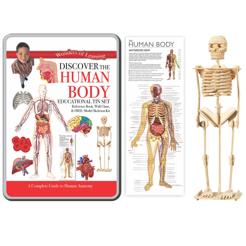 Human Anatomy